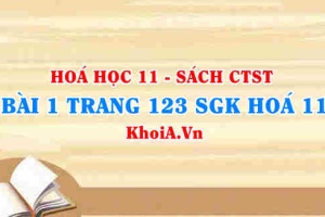 Bài 1 trang 123 SGK Hóa 11 Chân trời sáng tạo
